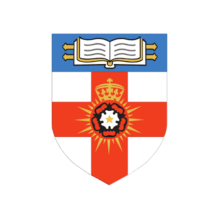 Director of UKVI Compliance
